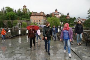 Ландшафтный парк, Буки